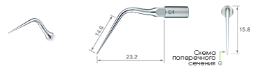 Endodontics/E4 -varios