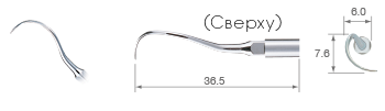 Perio – Root Planing/P25R-S – variosurg